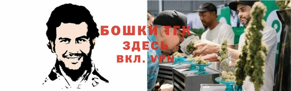 меф Алексин