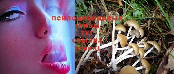 эйфоретик Абаза